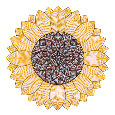 Mesmerizing Sunflower