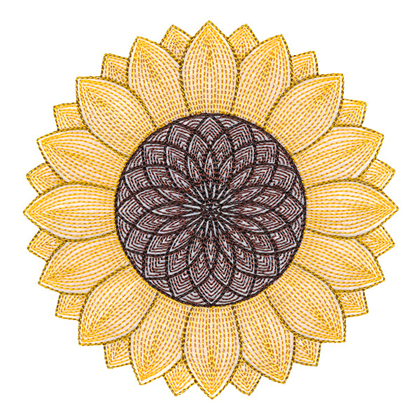 Mesmerizing Sunflower