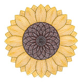 Mesmerizing Sunflower