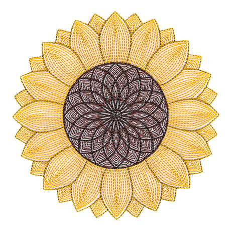 Mesmerizing Sunflower