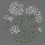 Summer Wonders - Queen Anne's Lace