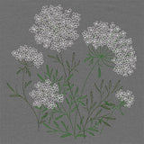 Summer Wonders - Queen Anne's Lace