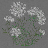 Summer Wonders - Queen Anne's Lace