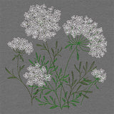 Summer Wonders - Queen Anne's Lace
