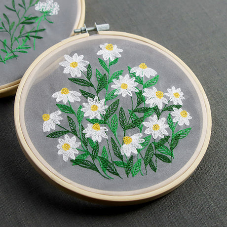 Summer Wonders - Daisies