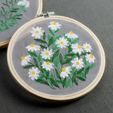 Summer Wonders - Daisies
