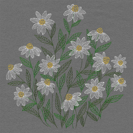 Summer Wonders - Daisies