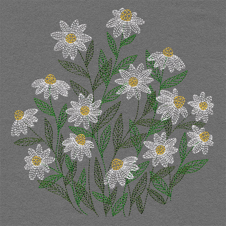 Summer Wonders - Daisies