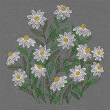 Summer Wonders - Daisies