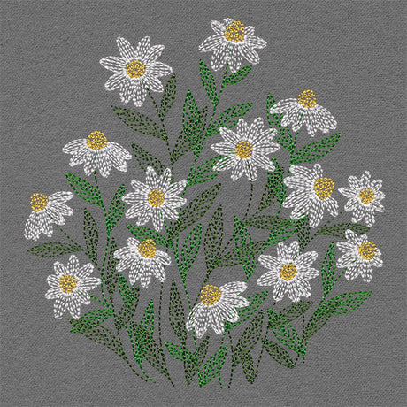 Summer Wonders - Daisies