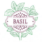 Fresh From the Garden - Basil