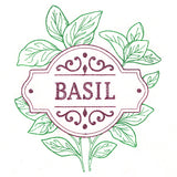 Fresh From the Garden - Basil