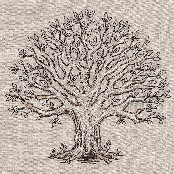 The Family Roots Tree