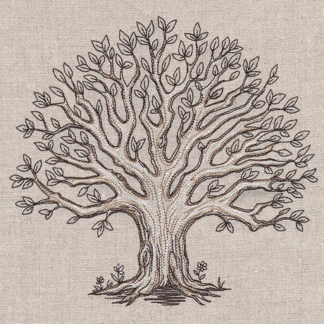 The Family Roots Tree