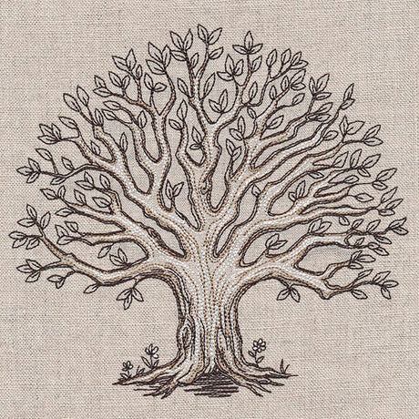 The Family Roots Tree