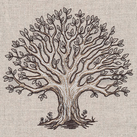 The Family Roots Tree