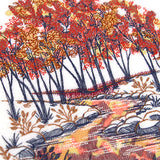 Crisp Fall Reflections