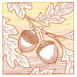 Fresh Harvest - Acorn Etching