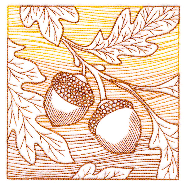 Fresh Harvest - Acorn Etching