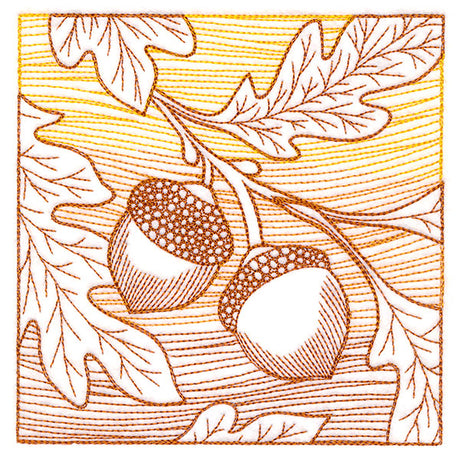 Fresh Harvest - Acorn Etching
