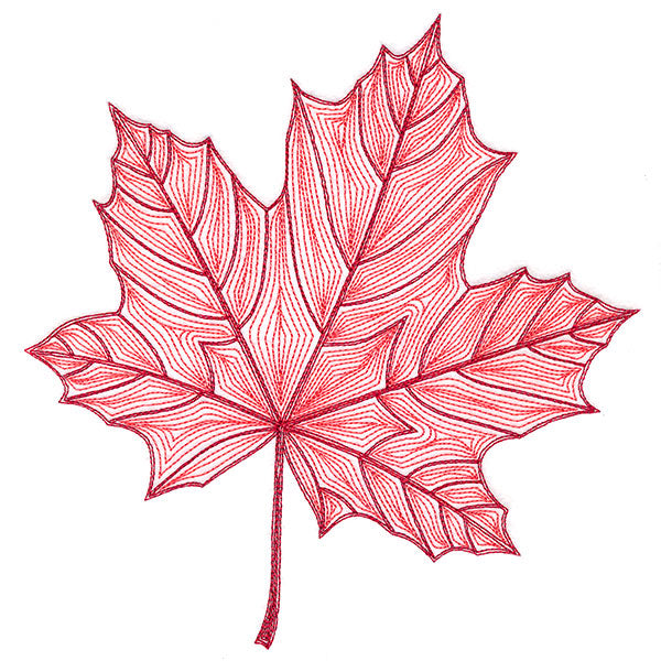 Fall into Autumn - Maple Leaf