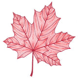 Fall into Autumn - Maple Leaf