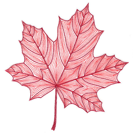 Fall into Autumn - Maple Leaf