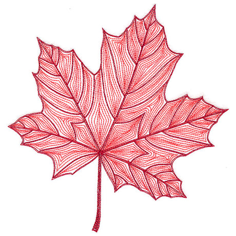Fall into Autumn - Maple Leaf