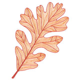 Fall into Autumn - Oak Leaf