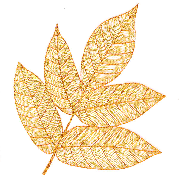 Fall into Autumn - Walnut Leaf