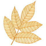 Fall into Autumn - Walnut Leaf