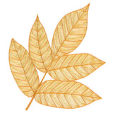Fall into Autumn - Walnut Leaf