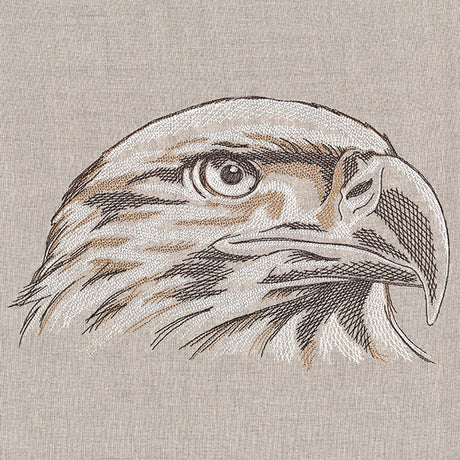 Elegant Eagle Etching