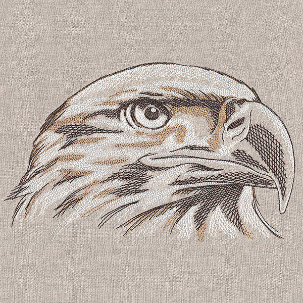 Elegant Eagle Etching