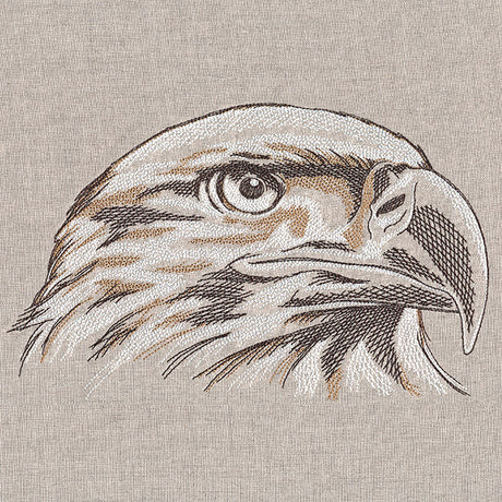 Elegant Eagle Etching