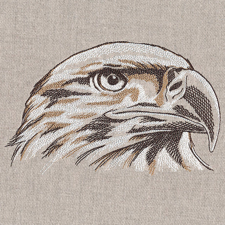 Elegant Eagle Etching
