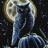 Owl in the Moonlight