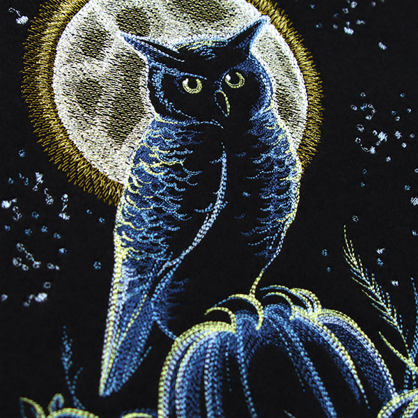 Owl in the Moonlight