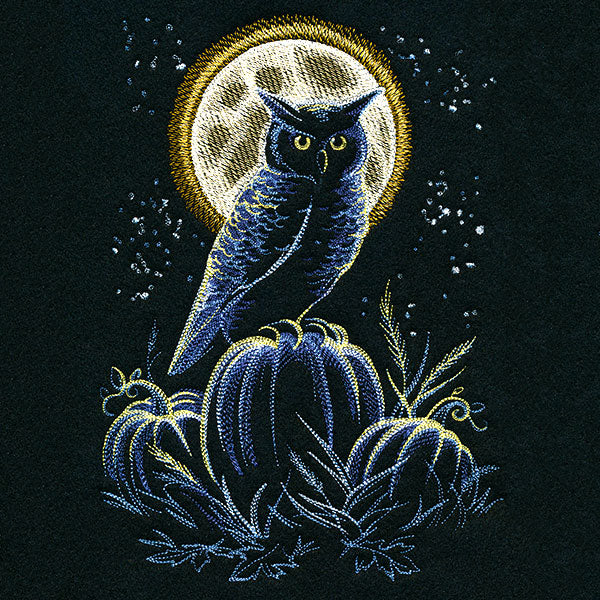 Owl in the Moonlight