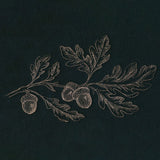 Elegant Acorns Border