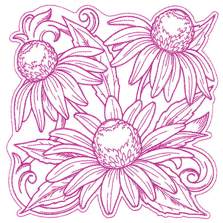 Coneflowers in Autumn Square