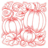 Pumpkin Patch in Autumn Square