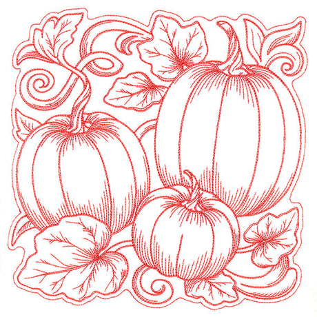 Pumpkin Patch in Autumn Square