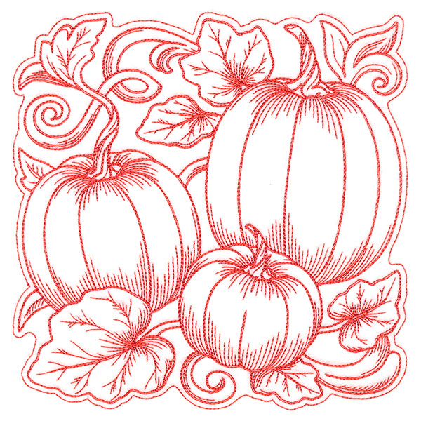 Pumpkin Patch in Autumn Square
