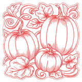 Pumpkin Patch in Autumn Square