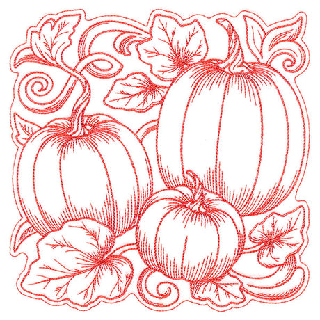Pumpkin Patch in Autumn Square