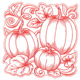 Pumpkin Patch in Autumn Square