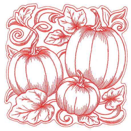 Pumpkin Patch in Autumn Square