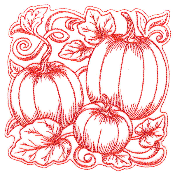 Pumpkin Patch in Autumn Square