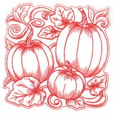Pumpkin Patch in Autumn Square